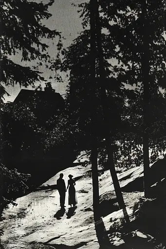 Midjourney generated image using SREF code Gritty Dissonance: A man and a woman walking down a path in the woods.