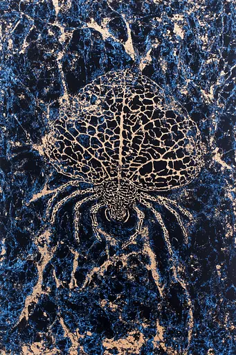 Midjourney generated image using SREF code Wavescape Dreams: A blue and gold painting of a spider on a black background.